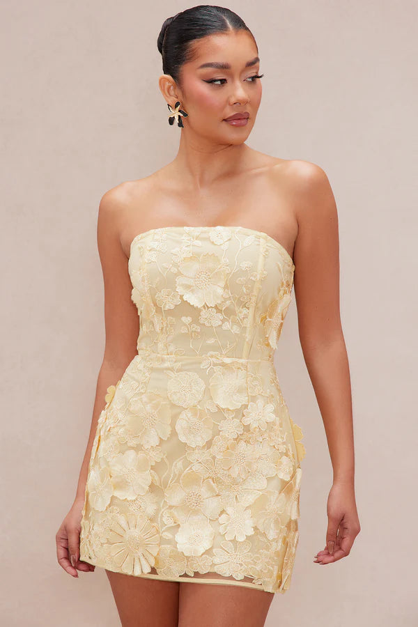 Marcella Embroidered A-Line Mini Dress - Yellow